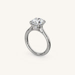 Load image into Gallery viewer, The Solienne – Cathedral Solitaire Hidden Halo Engagement Ring