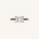 Load image into Gallery viewer, The Solienne – Cathedral Solitaire Hidden Halo Engagement Ring (E-W)