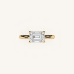 Load image into Gallery viewer, The Solienne – Cathedral Solitaire Hidden Halo Engagement Ring (E-W)
