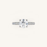 Load image into Gallery viewer, The Solienne – Cathedral Solitaire Hidden Halo Engagement Ring