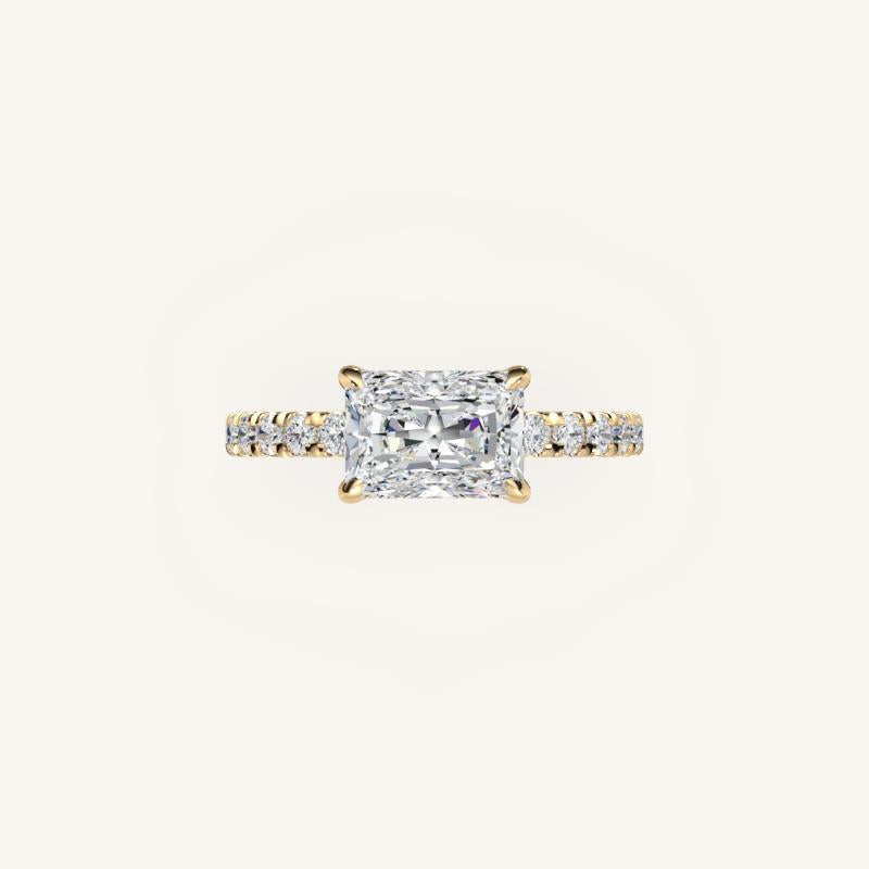 The Trelisse – Hidden Halo Diamond Engagement Ring (E-W)