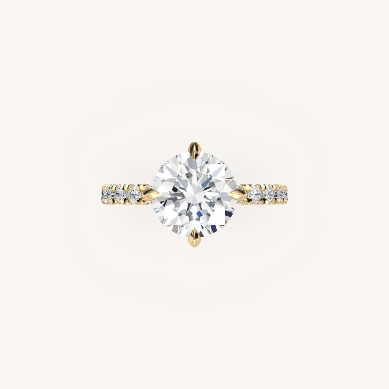 The Trelisse – Hidden Halo Diamond Engagement Ring (E-W)