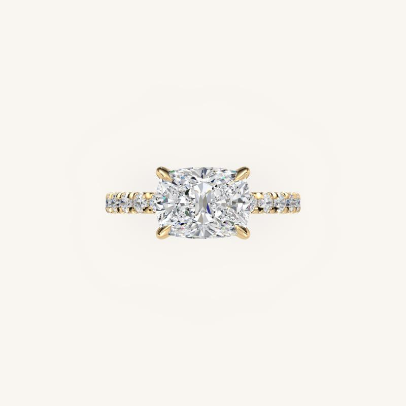 The Trelisse – Hidden Halo Diamond Engagement Ring (E-W)