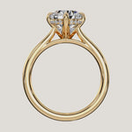 Load and play video in Gallery viewer, The Solienne – Cathedral Solitaire Hidden Halo Engagement Ring (E-W)