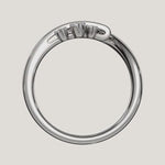 Load and play video in Gallery viewer, The Elara – Orion’s Belt - Inspired Celestial Ring