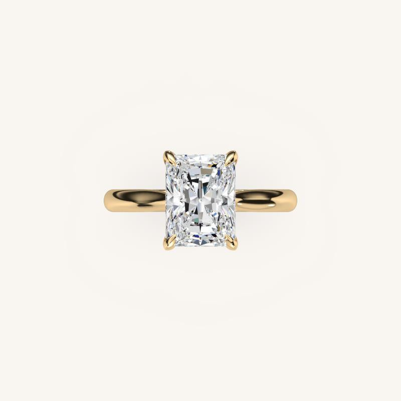 The Solienne – Cathedral Solitaire Hidden Halo Engagement Ring