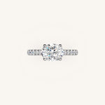 Load image into Gallery viewer, The Solienne – Cathedral Solitaire Hidden Halo Engagement Ring (E-W)
